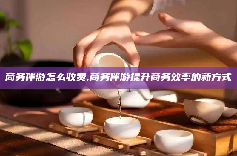 滑县商务伴游怎么收费,商务伴游提升商务效率的新方式